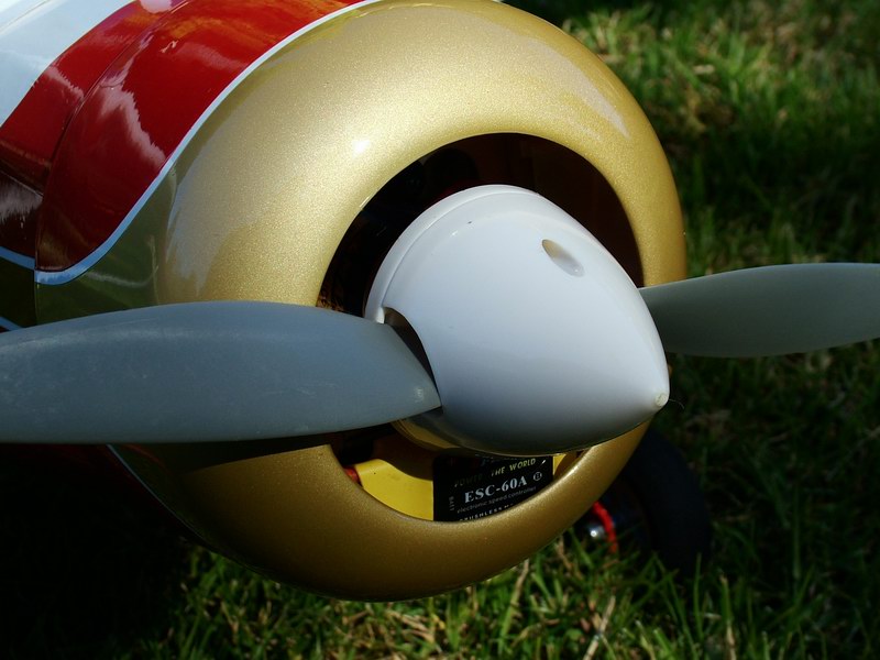 E-Flite DHC-2 Beaver